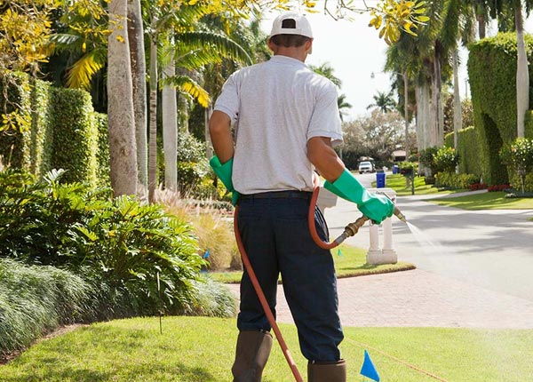 About La Rose IL Pest Control